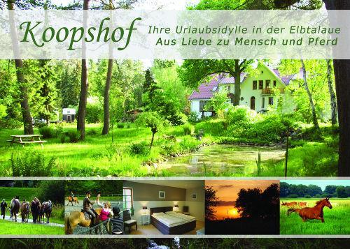 Apartamento Sternenhimmel Bleckede Exterior foto